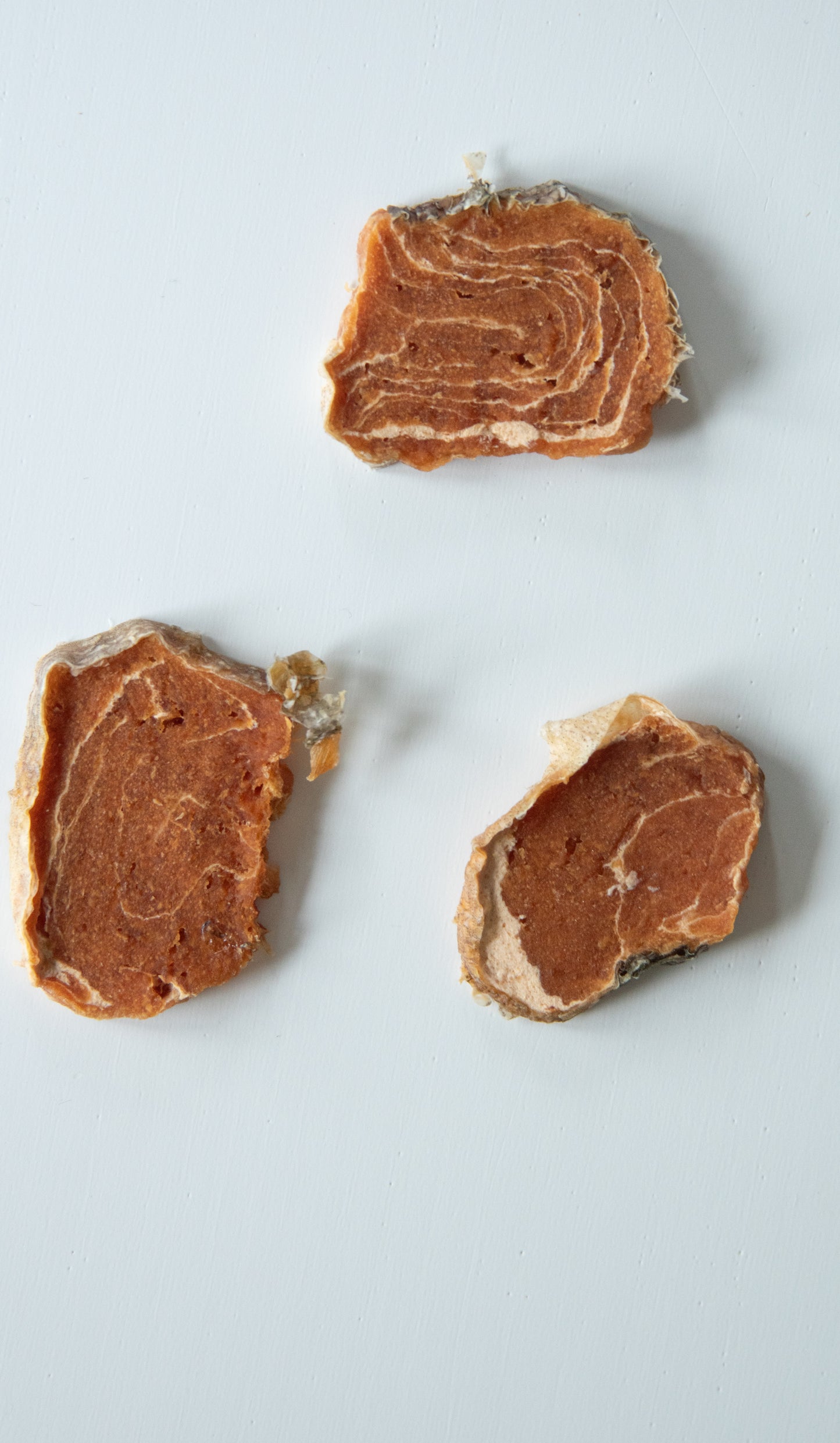 Salmon Medallions