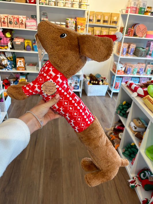 Christmas dachshund