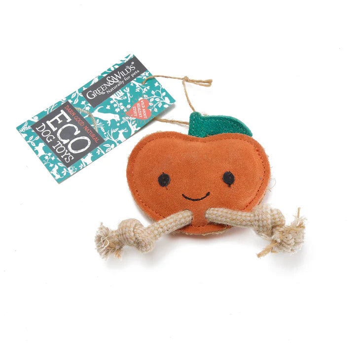 Green and wilds satsuma eco toy