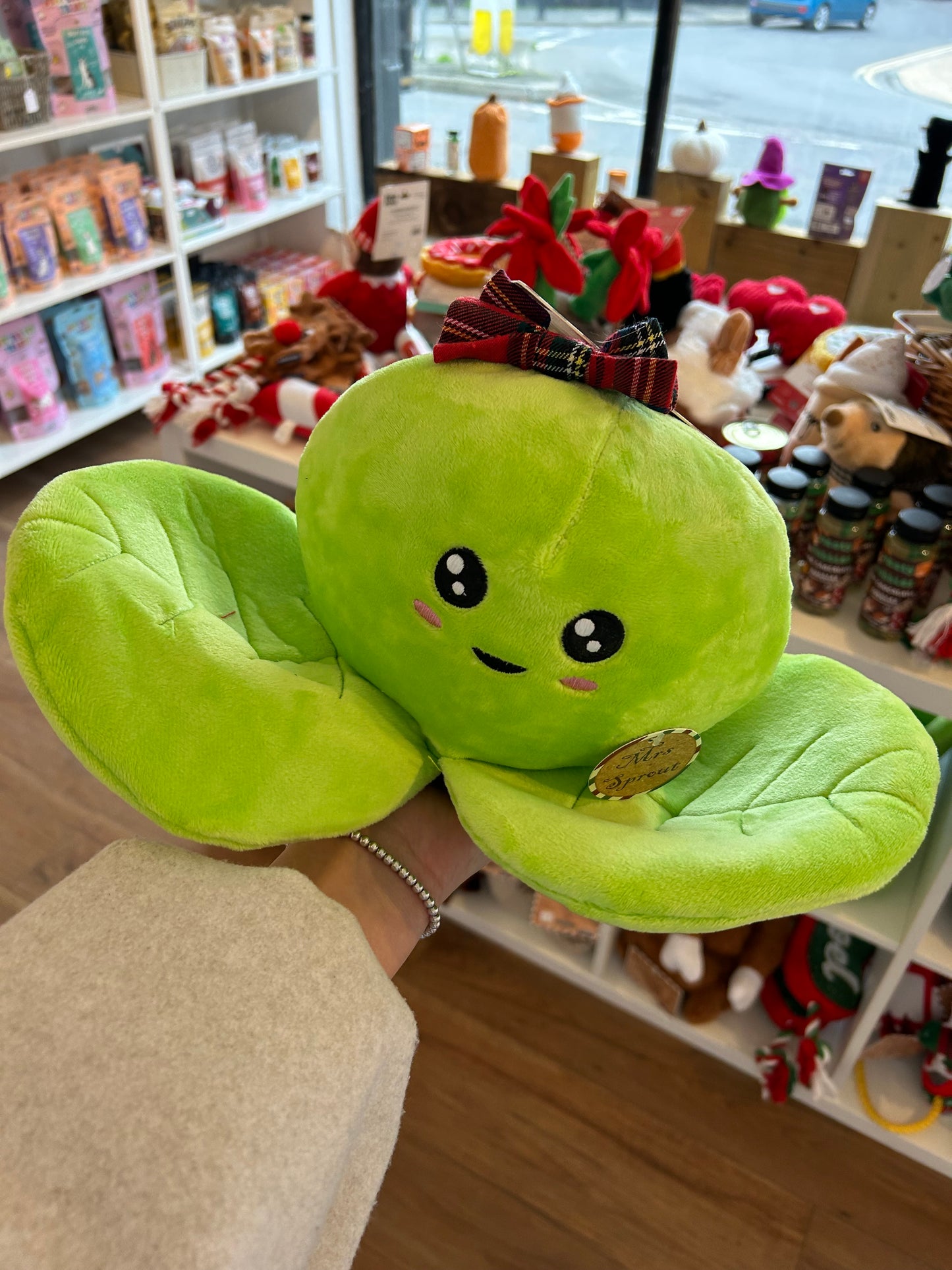 Giant squeaky mrs sprout