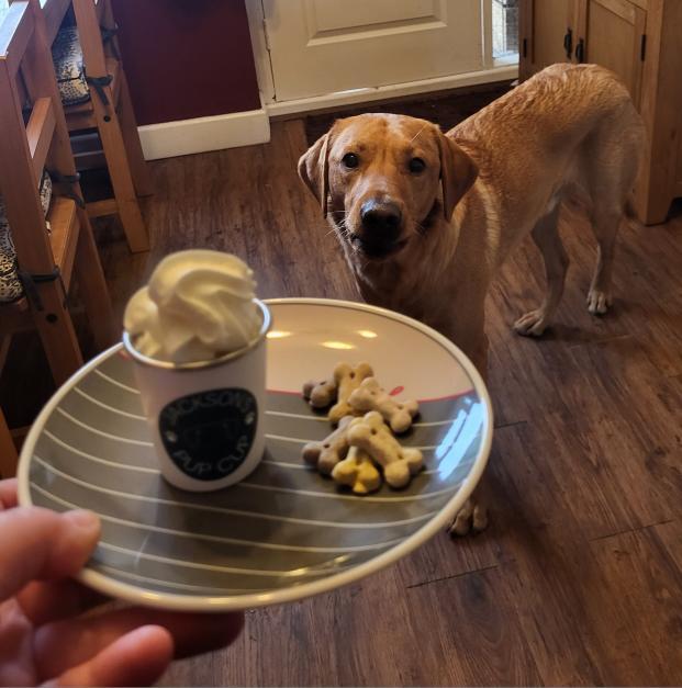 Personalised Pup Cup