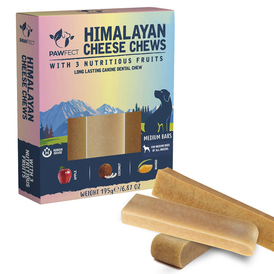 Himalayan Cheese Chews for Dogs - Mixed Fruit