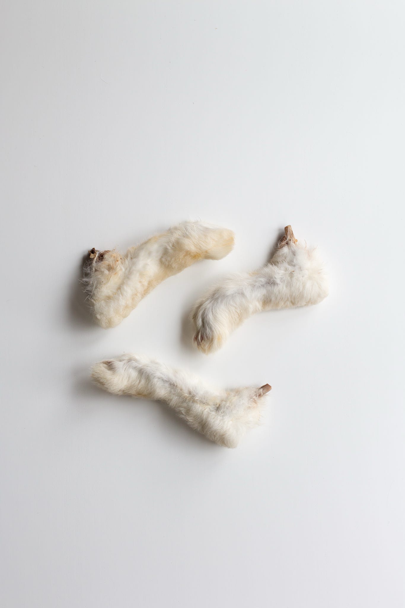 Hairy Rabbit Feet