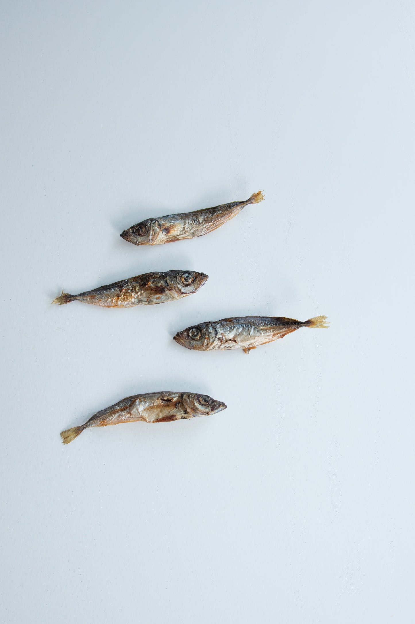 Sprats