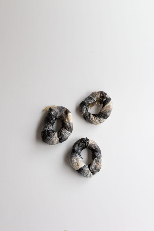 Fish skin donut