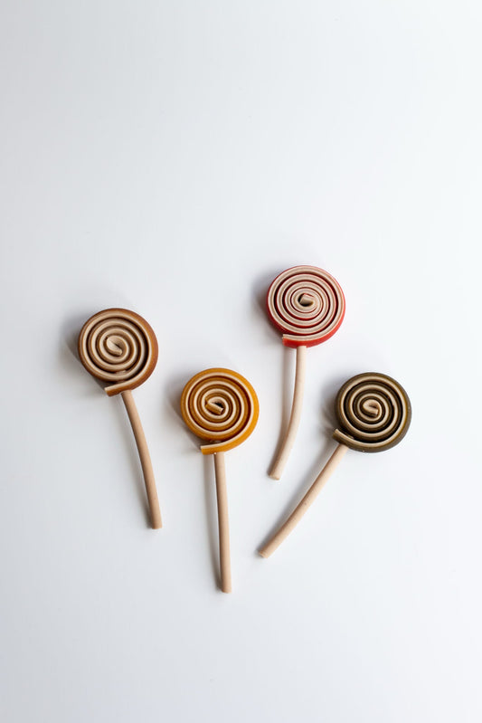 Veggie lollipop