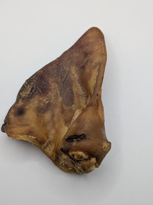 Pig Ear